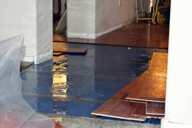 Professional Water Damage technician working in Wales, MA