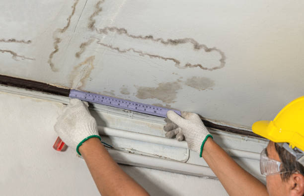 Reliable Water Damage contractor in Wales, MA by Water Damage Irwin